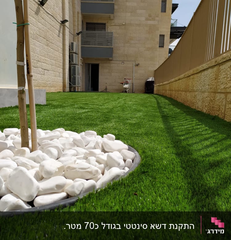 דשא סינתטי עם אבנים לבנות סביב עץ צעיר